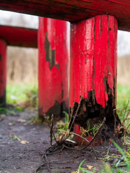 Rotten Column Replacement in Palatine